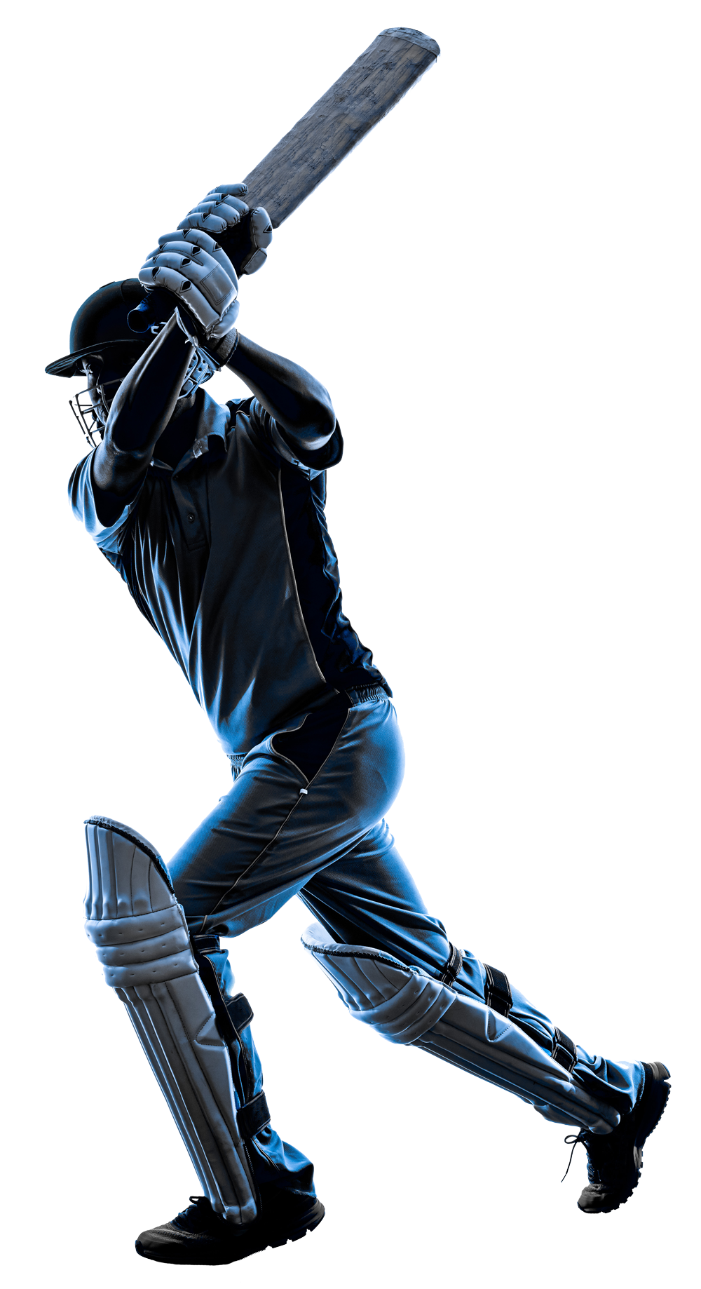 Cricket Player